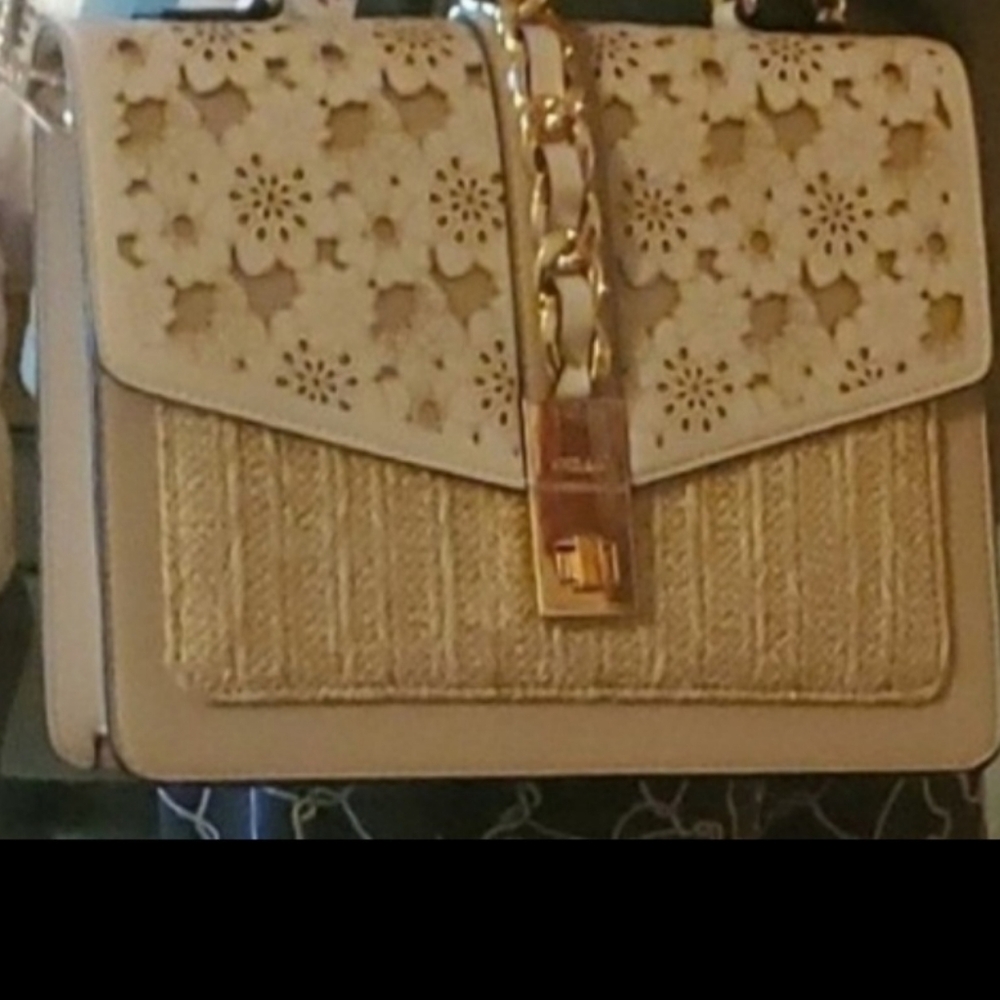 Aldo pursr NWT